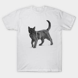 Cat scientific nature black ink pen drawing illustration T-Shirt